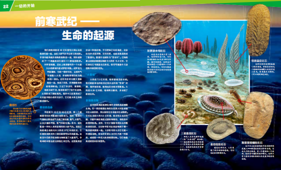 微信图片_20210129151605